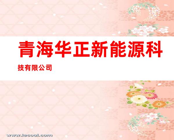 青海华正新能源科技有限公司